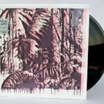 BANGALORE - Here Comes The Rain Vinyl Record