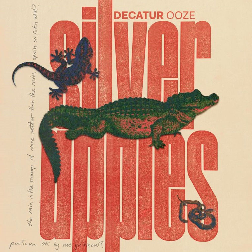 ORBIT085LP.jpg SILVER APPLES - DECATUROOZE - Image 1