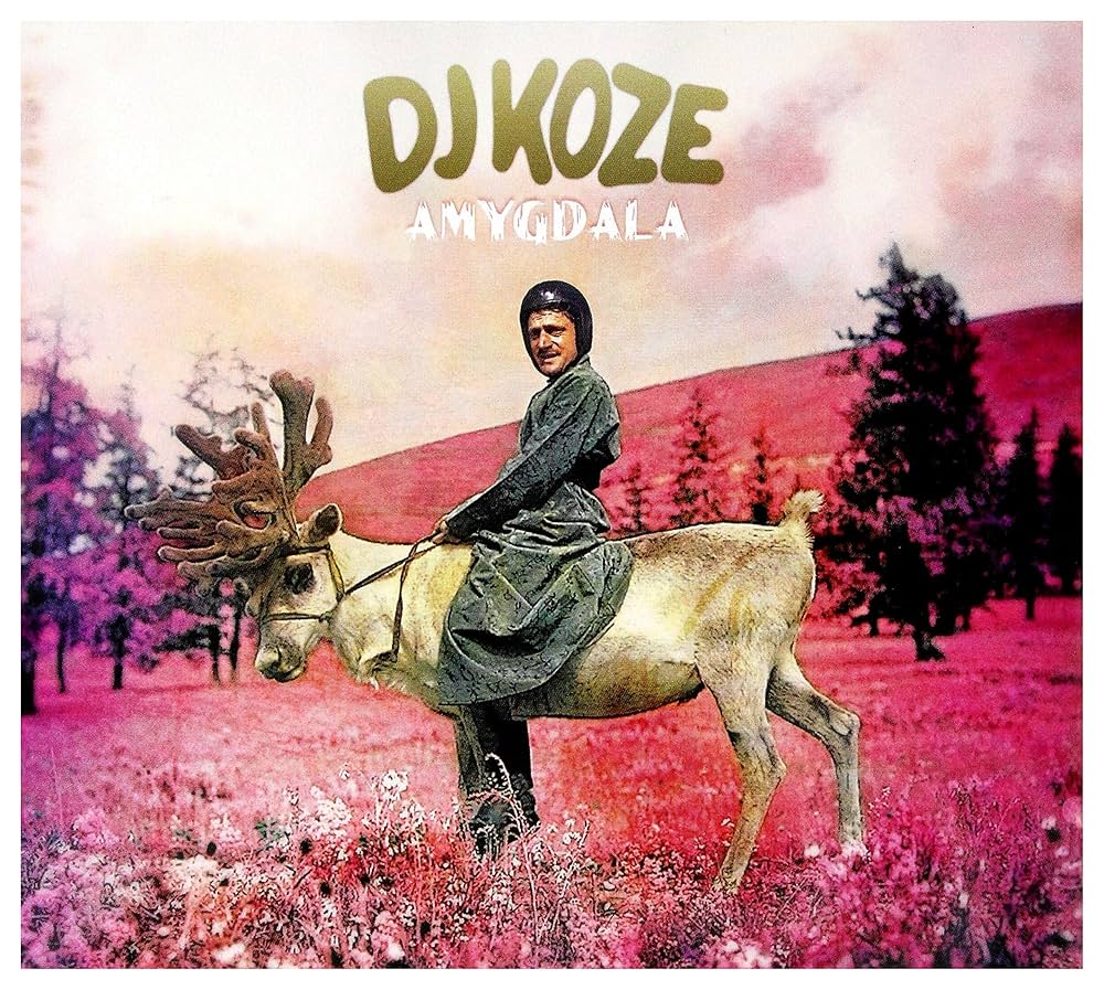 PAMPALP007.jpg DJ KOZE - AMYGDALA - Image 1