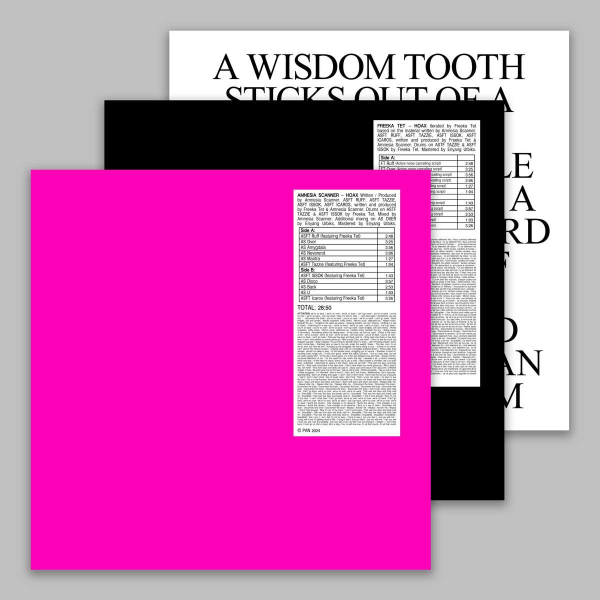 PAN148LP.jpg AMNESIA SCANNER & FREEKA TET - HOAX +??STROBE.RIP Vinyl Record - Image 1