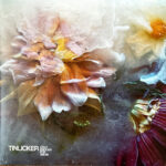 TINLICKER - COLD ENOUGH FOR SNOW
