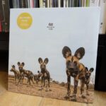 BALTHAZAR - FEVER Vinyl Record