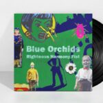 BLUE ORCHIDS - RIGHTEOUS HARMONY FIST Vinyl Record