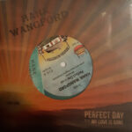 HANK WANGFORD - PERFECT DAY