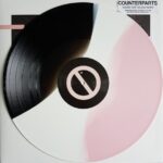 COUNTERPARTS - YOURE NOT YOU ANYMORE Vinyl Record