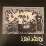 YEAR OF THE KNIFE - ULTIMATE AGGRESSION