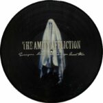 AMITY AFFLICTIONTHE - EVERYONE LOVES YOU... ONCE YOU Vinyl Record