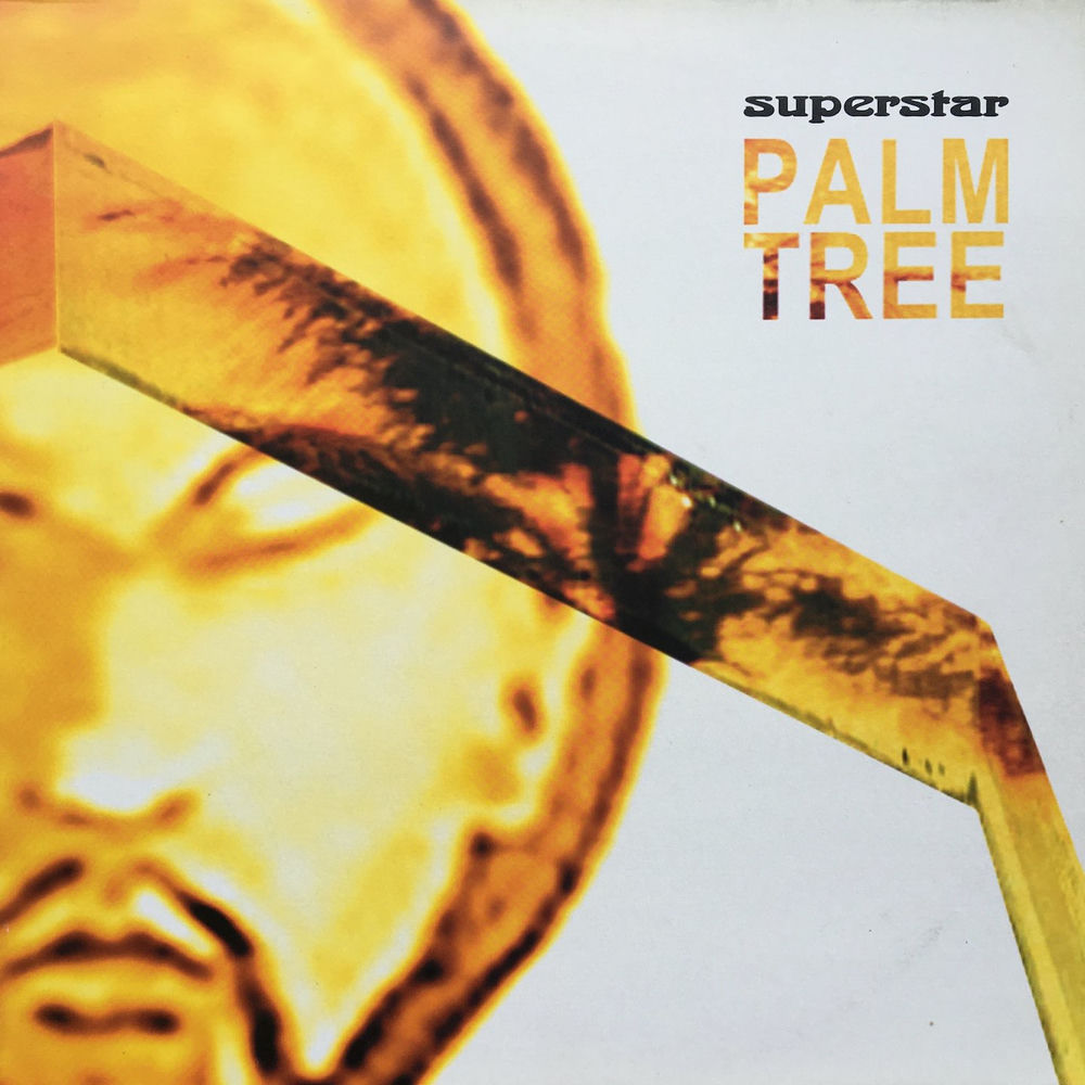 PNFG14Y.jpg SUPERSTAR - PALM TREE - Image 1
