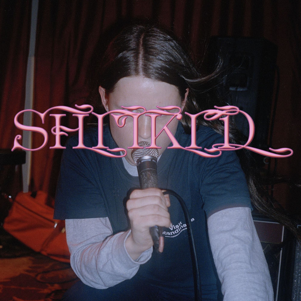 PNKSLM131LP.jpg SHITKID - THE ESSENTIAL (VOL 1) - Image 1