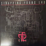 STRAPPING YOUNG LAD - CITY