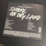 BABA STILTZ - SHAME ON DRY LAND Vinyl Record