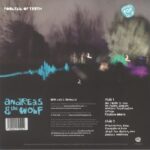 ANDREAS & THE WOLF - Fountain Of Truth Vinyl Record