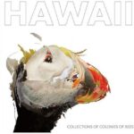 COLLECTIONS OF COLONIES OF BEE - HAWAII [LP] Vinyl Record