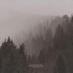 AN AUTUMN FOR CRIPPLED CHILDRE - WITHERED DREAMS SINGLES 2013 Vinyl Record
