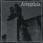 AMYGDALA - OUR VOICES WILL SOAR FOREVER