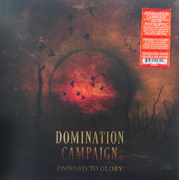 PROS104811.jpg DOMINATION CAMPAIGN - ONWARD TO GLORY - Image 1