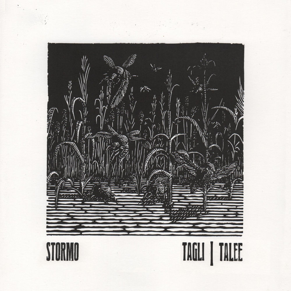 PROS106471.jpg STORMO - TAGLI/TALEE - Image 1