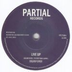 DELROY DYER - LIVE IT UP