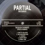 BUSH CHEMISTS THE - STRICTLY DUBWISE Vinyl Record