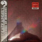 THE BLACK ANGELS - WILDERNESS OF MIRRORS