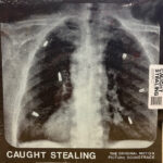 IDLES - CAUGHT STEALING (THE ORIGINAL MOTION PICTURE S