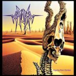 AYDRA - PSYCHO PAIN CONTROL Vinyl Record