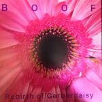 BOOF - REBIRTH OF GERBERDAISY Vinyl Record