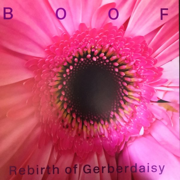 RBBTLP3.jpg BOOF - REBIRTH OF GERBERDAISY Vinyl Record - Image 1