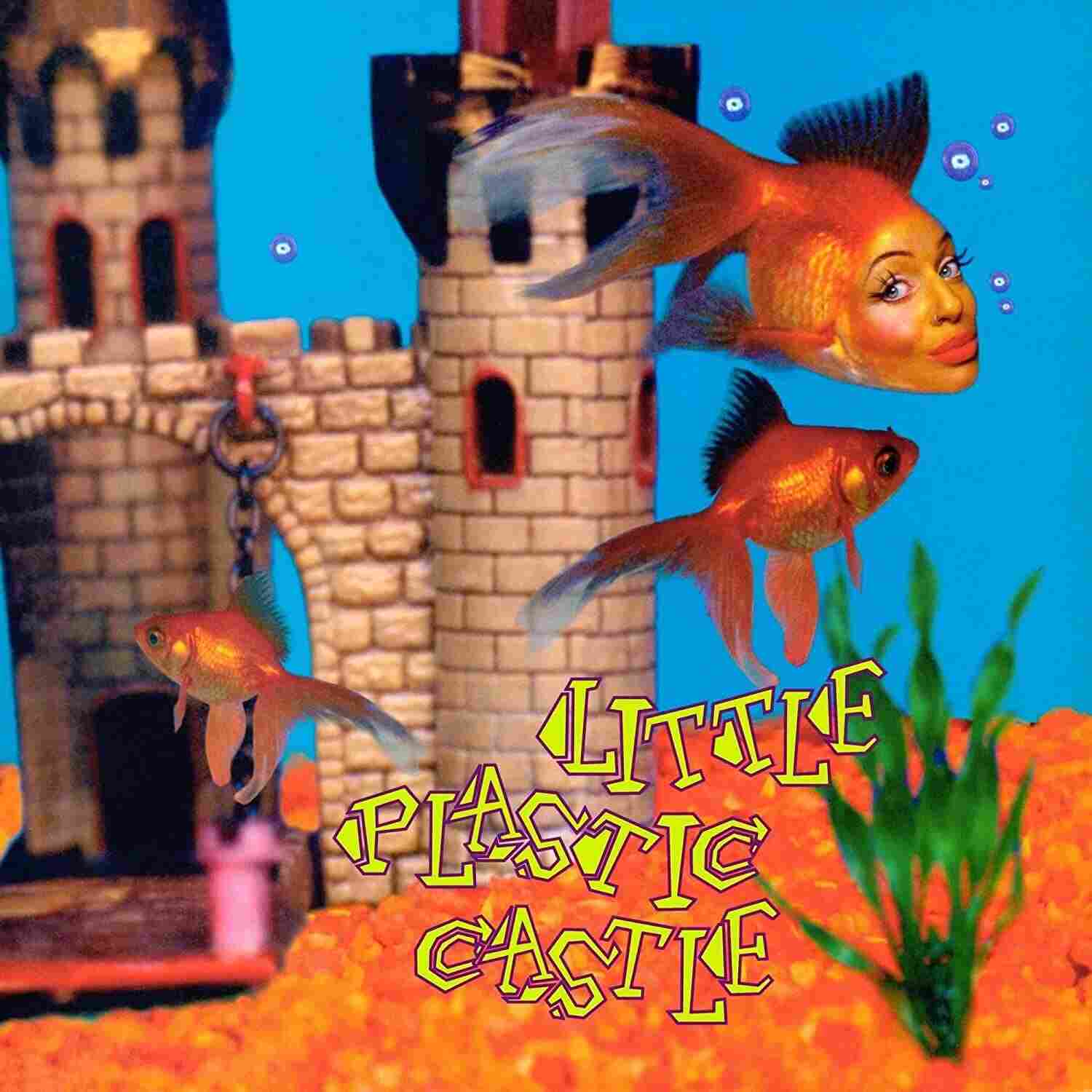 RBR0121VO.jpg ANI DIFRANCO - LITTLE PLASTIC CASTLE (25TH AN Vinyl Record - Image 1