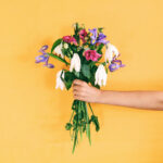 DECADE - PLEASANTRIES