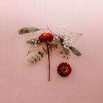SUNSLEEPER - YOU CAN MISS SOMETHING & NOT W