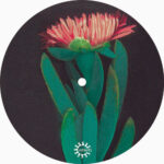 Chromatic Filters - Lido Iride EP