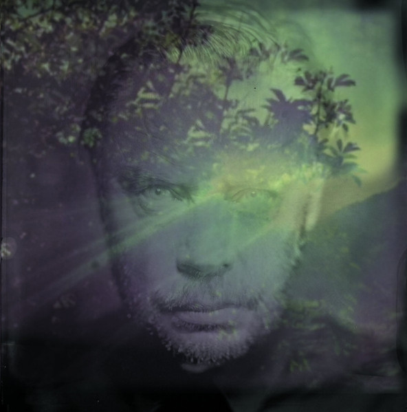 REDUXLP013.jpg DELANEY DAVIDSON - SHINING DAY - Image 1