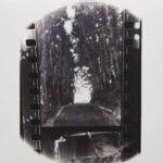 SEAHAVEN - WINTER FOREVER (BONE & SILVER SWIRL VINYL)