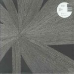 AMINA CLAUDINE MYERS - Solace Of The Mind Vinyl Record
