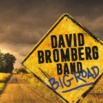 DAVID BROMBERG - BIG ROAD
