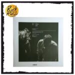 HEDVIG MOLLESTAD TRIO - ALL OF THEM WITCHES Vinyl Record