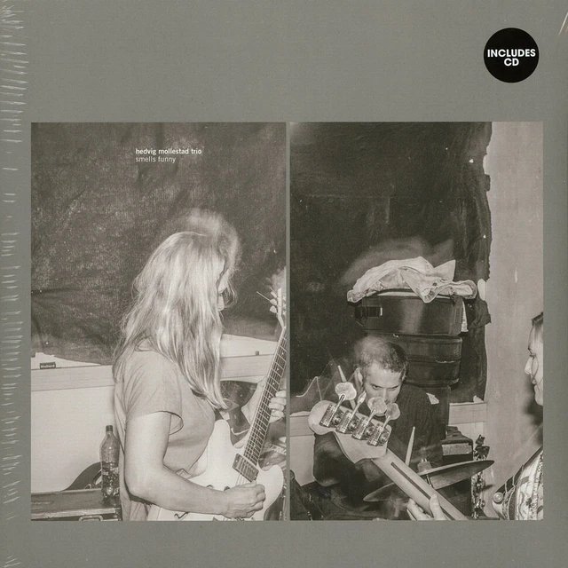 RLP3203.jpg HEDVIG MOLLESTAD TRIO - SMELLS FUNNY Vinyl Record - Image 1