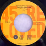 Dengue Dengue Dengue & Giuliano Sorgini - Oasi nella Giungla