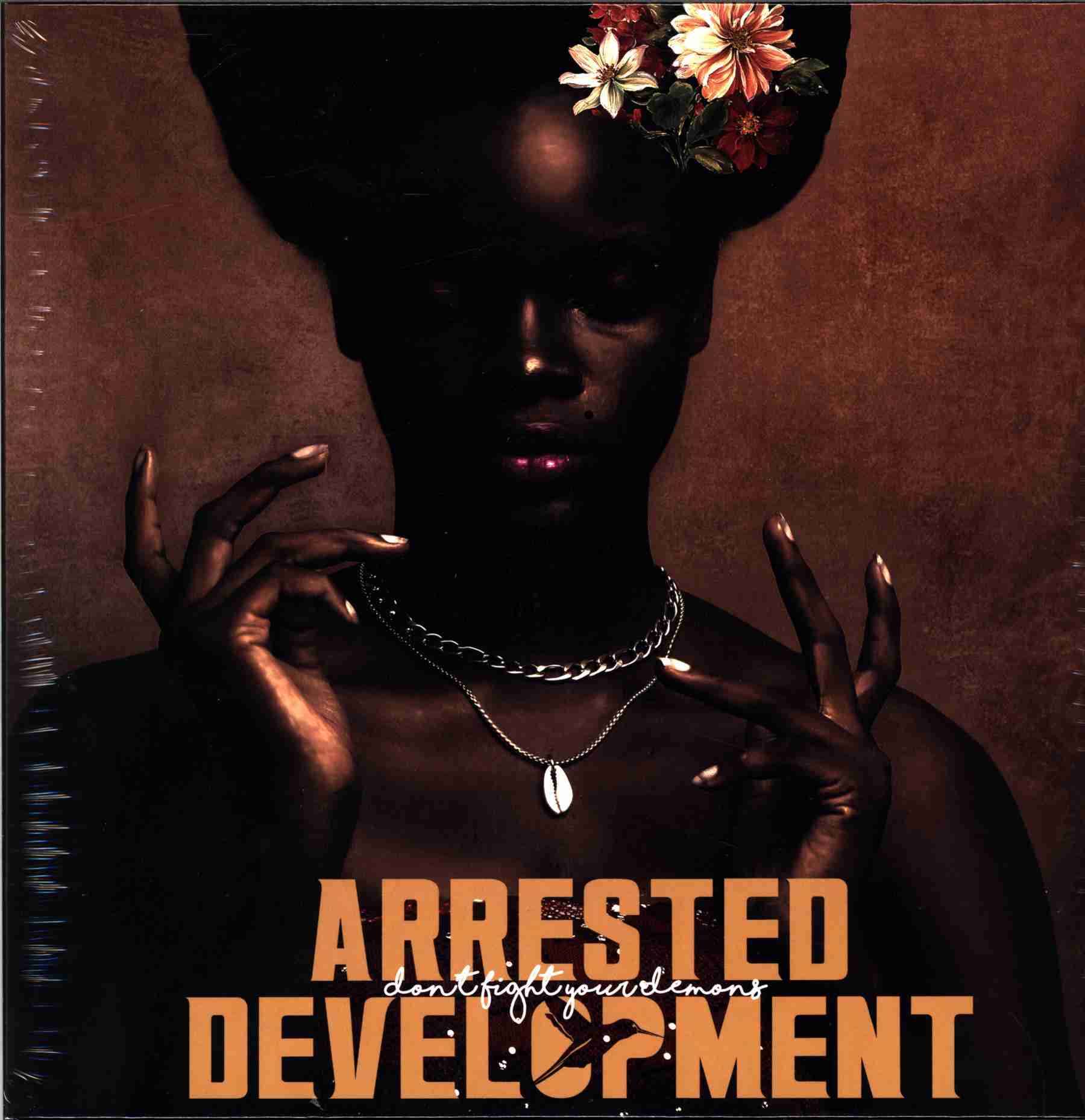 RN1043.jpg ARRESTED DEVELOPMENT - DONT FIGHT YOUR DEMONS Vinyl Record - Image 1