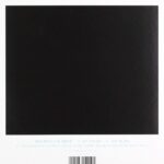 AIDAN MOFFAT & RM HUBBERT - CUT TO BLACK Vinyl Record