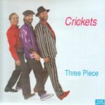CRICKETS - Three Piece Vinyl Record