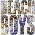 BEACH BOYS - BEACH BOYS Vinyl Record