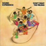 SOUND EXPERIENCE - DONT FIGHT THE FEELING