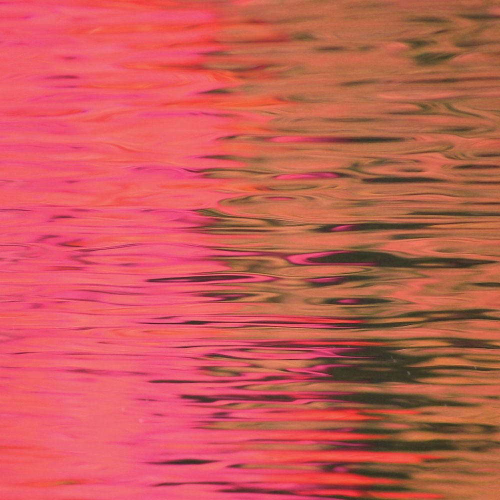 RR3801.jpg Silverstein - Dead Reflection - Image 1