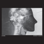 ZOMBI - DIRECT INJECT