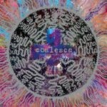 COALESCE - THERE IS NOTHING NEW UNDER THE Vinyl Record