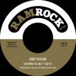 Rare Pleasure - Superfine Feeling 7 Inch Edits