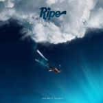 RIPE - BRIGHT BLUES