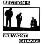 SECTION 5 - We Wont Change (White Vinyl)